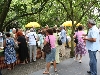 img_6040.jpg