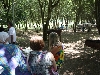 img_5854.jpg